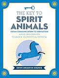 The Key to Spirit Animals: From Communication to Meditation: Advice and Exercises to Unlock Your Mys by Dawn Baumann Brunke