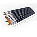 Paint Brushes Set the Professional Round Pointed Tip Nylon Hair Artist Paintbrushes Set for Acrylic Watercolor and Oil Painting (12 Pieces)