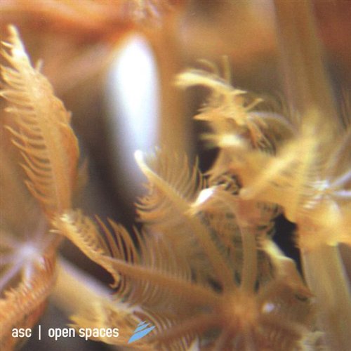ASC - Open Spaces - Zortam Music