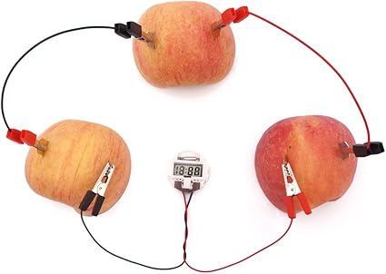 Amazon Com Tommot Fruit Battery Potato Clock Science Experiment Kit For Diy Home Teaching Toy School Science Project And Education Subject Toys Toys Games