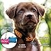 Custom Engraved Pet ID Tags with Swarovski Crystal - 1.5
