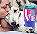 Kodi Lifestyle Collection 30 Ounce Large|Paw Love Dog and Cat Stainless Steel Travel Tumbler|Hot and Cold|Temperature Retention|Ombre Dipped Pink and Purple|Teal Lid for Straw|Dog Cat Mom Lover Rescue