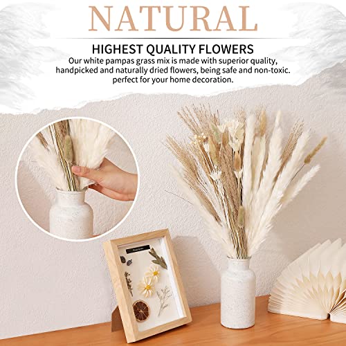 Natural Dried Pampas Grass - Boho Home Dried Flowers Decor – Includes 17 Inch White Pompous Grass, Bunny Tails, Natural Reed Grass –Fluffy Dried Flowers for Home Office Wedding Flower Arrangements