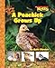 A Peachick Grows Up (Scholastic News Nonfiction Readers)