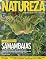 Livro Revista Natureza 406
