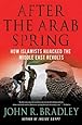 After the Arab Spring: How Islamists Hijacked The Middle East Revolts