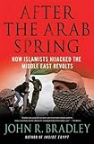After the Arab Spring: How Islamists Hijacked The Middle East Revolts