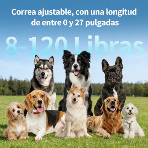 JESWO Collar Antiladridos Perro, Collar de Entrenamiento con Pantalla y 7 Sensibilidades Ajustables, Modos Pitido y Vibración No Intrusivos, IP67 Impermeable y Recargable