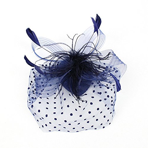AfterSo Apparel Fascinators Hat Flower Mesh Ribbons Feathers for Women Tea Party Bridal Headband