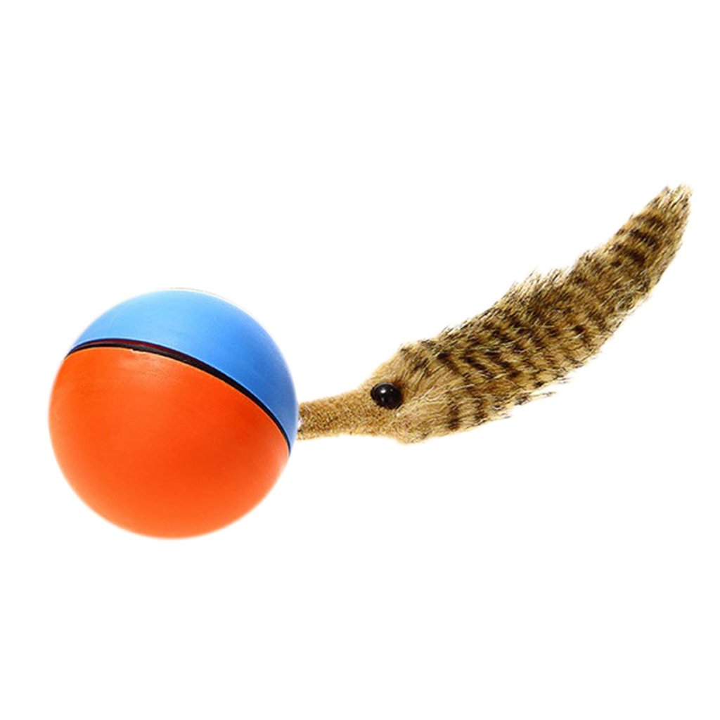 dog toy battery operated ball