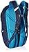 The North Face Vault Backpack