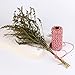 Bakers Twine, AIEX Christmas Twine Spool 2 mm Cotton String Roll for Gift Wrapping Decoration, Arts Crafts 656 Feet Totally(Red and Green,Pack of 2)
