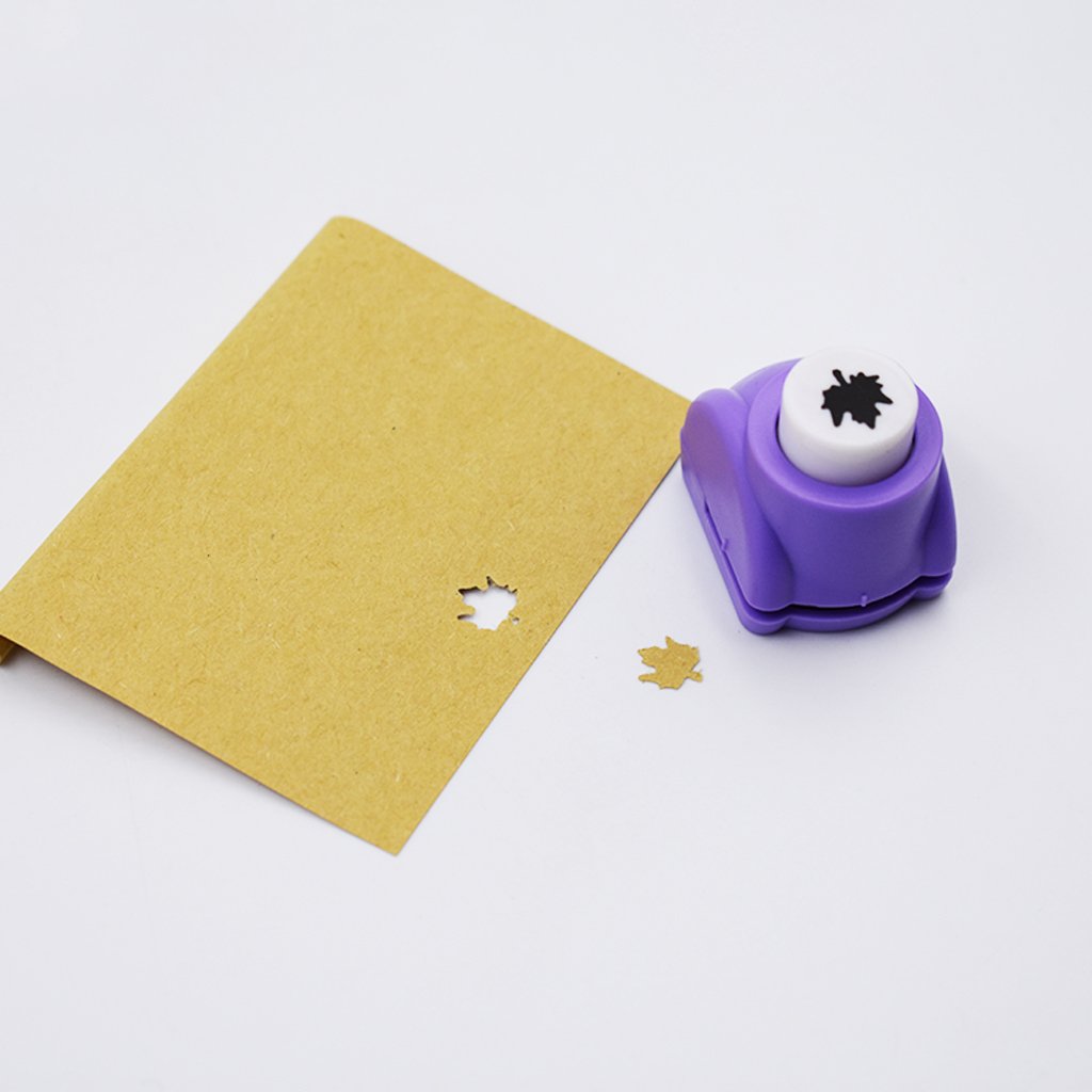 What is your evaluation of the recruitment strategy used by maple leaf shoes? image