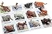 Montessori Animal Match - Miniature North American Wildlife Animal Toy Figurines with Matching Cards - 2 Part Cards. Montessori Learning Toy, Language Materials Busy Bag Activity
