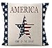 Various Creative American Flag Star Stripes Design and Funny America Home of The Brave Cotton Linen Throw Pillow Covers Cushion Cover Decorative Sofa Bedroom Living Room Square 18 Inches