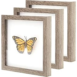 Super-Sturdy, Real Wood 8x8 Shadow Box Frame