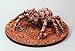 Reaper 77025 Giant Spider - Dark Heaven Bones Plastic Miniature.