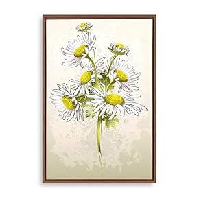 signwin Framed Canvas Wall Art Simple Colorful Flowers...