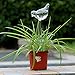 DOYOLLA Set of 2 Bird-Shaped House Plant Self Watering System is Easy As Aqua Globes. Automatic Globe Irrigation for Patio, Lawn, Garden Pot Or Planter