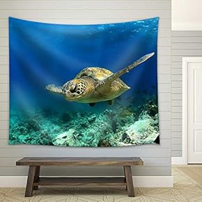 Green Sea Turtle Swimming Underwater - Fabric Wall Tapestry Home Decor - 51x60 inches