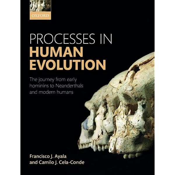 洋書 World Prehistory and the Anthropocene World Prehistory and the Anthropocene: McCorriston, Joy