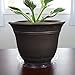 Plant Saucers (Pack of 10) - 10” Clear Durable Plant Saucer for Indoor & All-Weather Outdoor Use - Catch Dirt & Water from Plant Pots to Stop Messes & Stains in Your Home & Garden