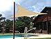SUNNY GUARD Sun Shade Sail 20'x20'x20' Triangle Sand UV Block Sunshade for Backyard Yard Deck Patio Garden Outdoor Activities and Facility(We Make Custom Size)
