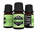 EA AromaCare Aromatherapy Essential Oils Blends Gift Set, Therapeutic Grade, 100% Pure, (Detox, Immunity, Rejuvenate, Sleep Well, Relax and Muscle Relief) Great Essential Oils Set