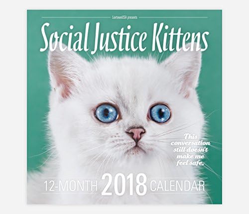 Social Justice Kittens 2018 Calendar