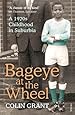 Bageye at the Wheel: A 1970s Childhood in Suburbia