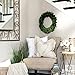 Olive Branch Home Preserved Boxwood Wreath With Gift Box, Large Indoor Year Round Green Wreath (20 Inch Round)