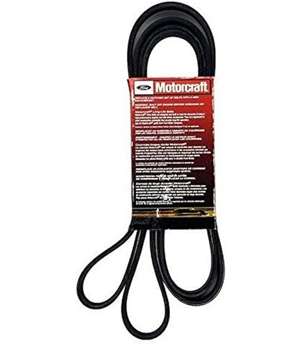 Amazon.com: Ford CC3Z-8620-A, Serpentine Belt : Automotive
