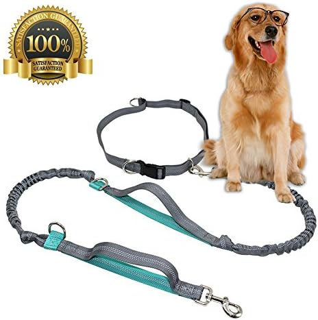 Retractable Hands Free Dog Leash with Dual Bungees Double Handle for Walking Hiking Jogging Biking,Adjustable Waist Belt, Reflective Stitching Running Leash for Large Dogs up to 150lbs