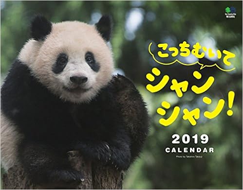 カレンダー2019 こっちむいてシャンシャン! ([カレンダー]) (日本語) カレンダー – 2018/9/26の表紙