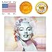 Marilyn Monroe Throw Blanket with Custom Art Design by Fernando Palma, Plush Soft and Cosy Marilyn Monroe Gift for Him or Her, 60 x 50 inch