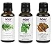 3-Pack Variety of NOW Essential Oils: Energizing - Rosemary, Cinnamon Cassia, Peppermint