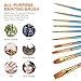 Alritz Acrylic Paint Brush Set, Artist Paint Brushes with Carrying Case for Oil, Watercolor, Face and Body Painting