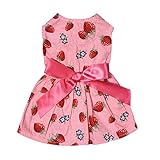 WIDEN Strawberry Patterns One-piece Dress Pet Princess Dress Cute Pet Clothes
