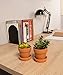 Juvale 12 Pack 3 in Mini Terracotta Pots for Plants Flower, Small Clay Terra Cotta Planter with Drain Hole Saucers for Succulent Indoor Outdoor