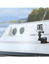 Panavise ActionGrip - Kit de montaje para cámara con ventosa, color negro mate