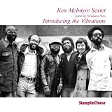 INTRODUCING THE VIBRATIONS                         image