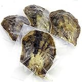 Wish Round Akoya Cultured Pearl Vacuum Package 7-8mm 100pcs (White, Pink, Purple,Dyed Black)