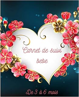 Carnet De Suivi Bebe De 3 A 6 Mois Parfait Suivi A La Sortie De L Hopital Plan D Action A Etablir A La Maison Pour Le Bebe Lors De L Allaitement Super