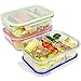 RENPHO [3-Pack, 36oz] Glass Meal Prep Containers 2 Compartment - Glass Bento Box Glass Compartment Food Containers with Airtight Lids Divided Glass Lunch Containers - Microwave,Oven,Dishwasher Safe