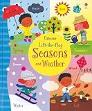 Board book Lift-the-Flap Seasons and Weather Book