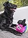 goDog Bugs Bee with Chew Guard Technology Plush Squeaker Dog Toy, Rainbow, Large