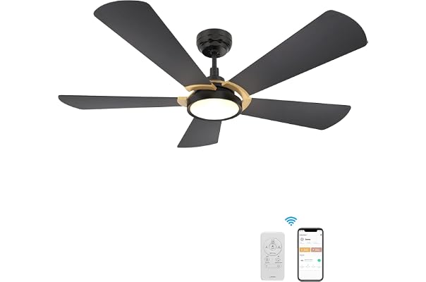 Ceiling Fans