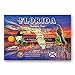 U.S. State Map Postcard Set of 50. Modern post cards variety pack. Postcards with maps of all fifty states of the United States of America. Made in USA.