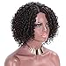 AISI QUEENS Kinky Curly Wig for Black Women Black Mixed Red Color Side Part Short Afro Synthetic Heat Resistant Fiber Daily Part Wigs(1b/bug)
