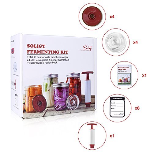 1 Fermentation+Weights+Ferment+Record+Labels